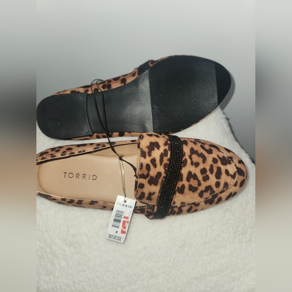 Torrid flats - Picture 4 of 4